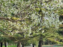 -石家庄市植物园