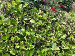 -河东池盐文化博览园