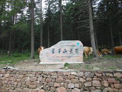 -芦芽山旅游度假区