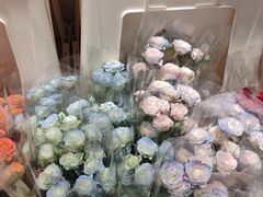 -南京时尚莱迪购物广场(正洪街店)