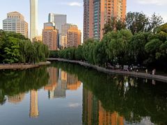 -团结湖公园