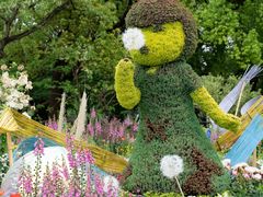 -上海共青森林公园