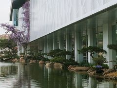 -罗红摄影艺术馆