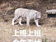 -宁波野生动物园