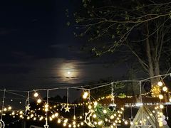 -安德鲁户外烧烤帐篷营地(马泉营店)