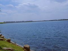 -丁香湖公园