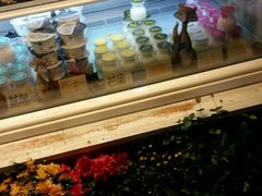 -狐狸家·酸奶酪专门店(平江路店)