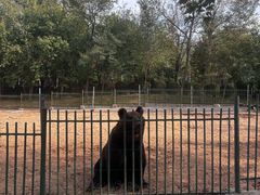 -秦皇岛野生动物园