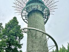 -黄海国家森林公园