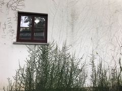 -苏州图书馆(人民路总馆)
