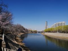 -桃花堤公园