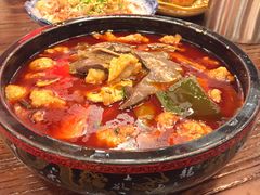 -重庆酸菜鱼(上海路店)