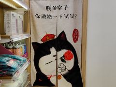 -鼎级派宠物(中南店)