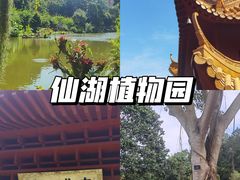 -梧桐山风景名胜区