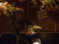 -大桶大足浴(广灵店)