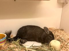 -龙猫仔乐园(惠福东路店)