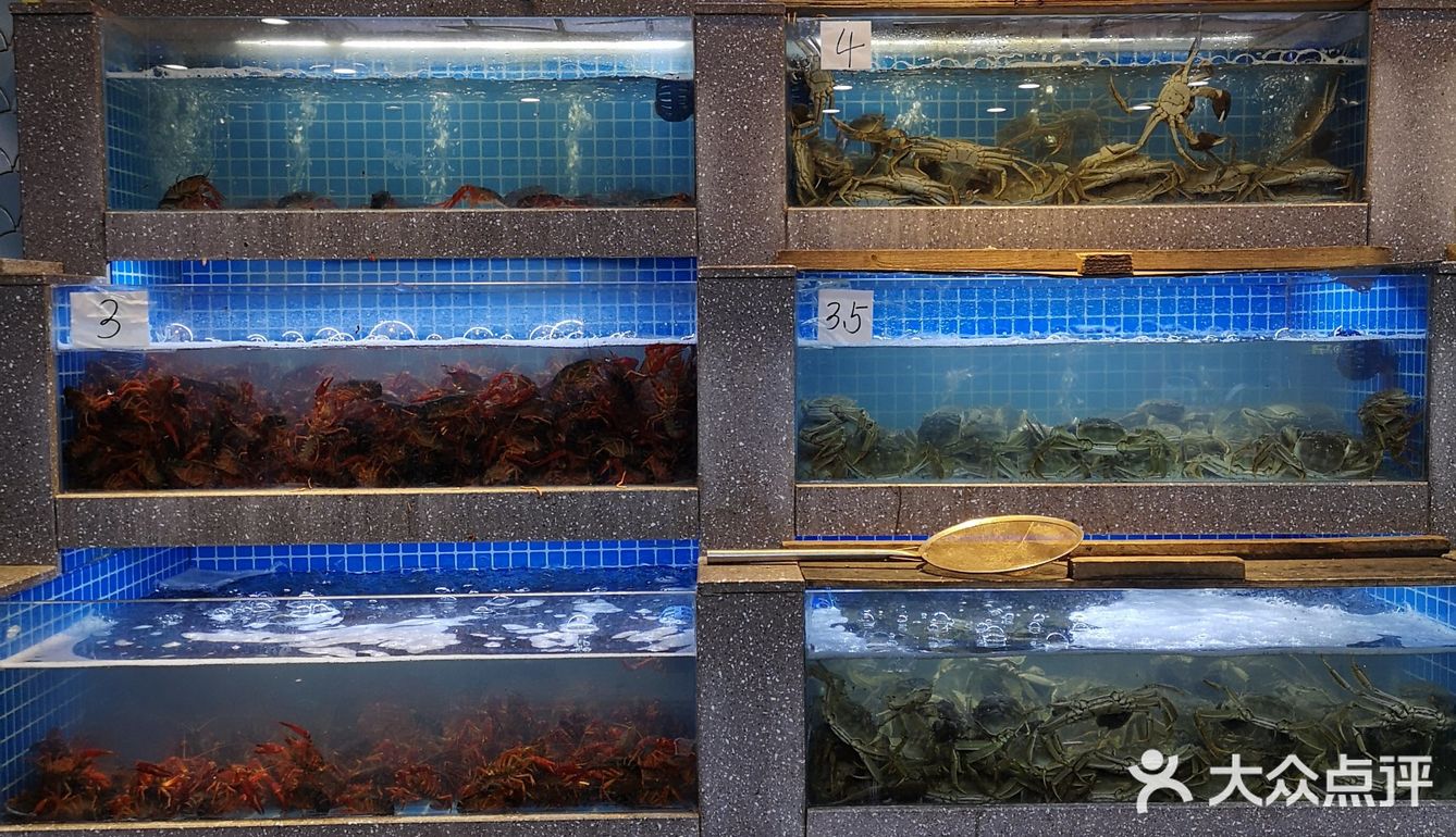 在这个冬日里，也能实现龙虾🦞自由～