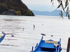 -丽江泸沽湖景区