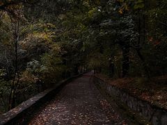 -香山公园