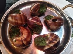 -金蜗牛