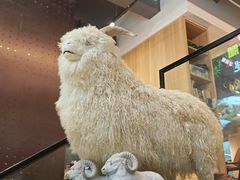 -新鞑烤羊腿(康平路店)