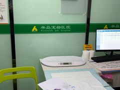 -半岛宠物医院24小时(科华中路店)