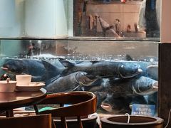 -上名堂·鱼头好吃(体育场路店)