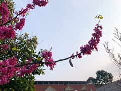 -长沙友阿奥特莱斯