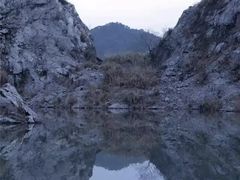 -阿迪达斯(武林银泰三叶草店)