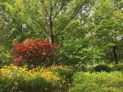 -昆山城市生态森林公园