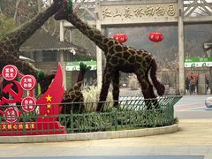 -ZOO COFFEE动物园咖啡(红山森林动物园店)