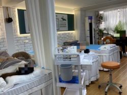 -新雨池不针清祛痘