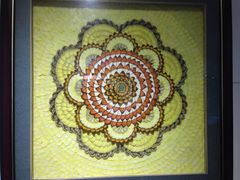 iphone_upload_pic-上海昆虫博物馆