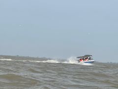 -洪湖生态旅游区