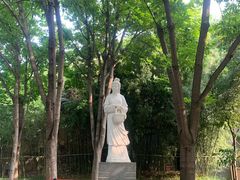 -西安曲江寒窑遗址公园