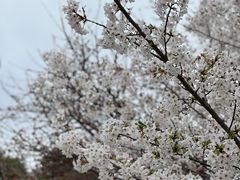 -苏州上方山国家森林公园