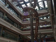 -陈光记烧腊(长寿路店)