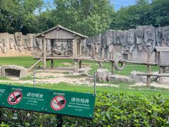 -上海野生动物园