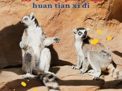 -北京野生动物园