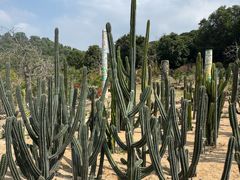 -东莞植物园
