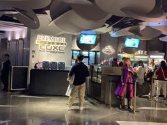 -百美汇影城(LUXE嘉里中心店)