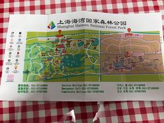 -上海海湾国家森林公园