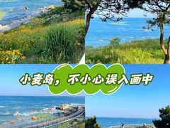 -小麦岛公园