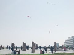 -南汇嘴观海公园