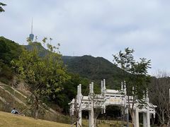 -梧桐山风景名胜区