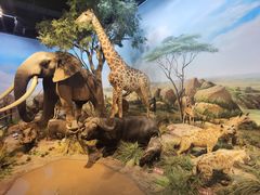 -陕西自然博物馆