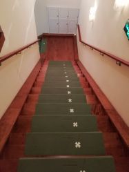 -美丽田园