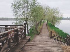 -野鸭湖国家湿地公园