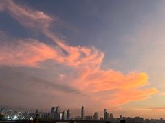 -万绿园