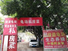 -龟场私房菜